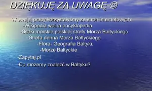 Czym jest morze? Definicja, różnice i ochrona Bałtyku