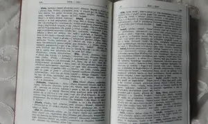 Słownik etymologiczny Brücknera: Klucz do polskiej historii języka
