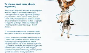 Jak zabezpieczyć szczeniaka przed kleszczami i uniknąć zagrożeń zdrowotnych