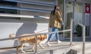 Frau mit Hund betritt Tierarztpraxis. Eine Tabelle mit tierarztkosten hund ist vielleicht im Inneren zu finden.