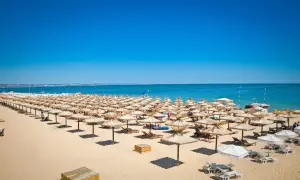 Słoneczny brzeg plaża z rzędami parasoli i leżaków, w tle błękitne morze i niebo.