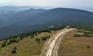 Szlak turystyczny na Śnieżnik Kłodzki. Grupa ludzi wędruje kamienistą ścieżką wśród traw i kosodrzewiny, na tle zalesionych gór.