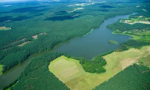 Rozległe lasy sosnowe otaczają spokojne jezioro Wysockie, tworząc malowniczy krajobraz z polami i niewielkimi osadami w oddali.