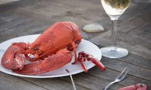 En hel, röd hummer på en tallrik, redo att avnjutas med ett glas vitt vin. Perfekt för en sommarkväll.