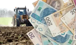 Hodowla ślimaków 2026: Zysk 60 tys. zł? Analiza kosztów i dotacji