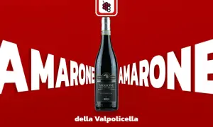 Butelkowa butelka wina Amarone della Valpolicella, wina z suszonych winogron, na tle czerwieni z białym napisem "AMARONE".