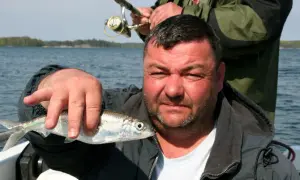 Jak skutecznie łowić śledzie w Bałtyku? Sezon, sprzęt, przepisy.