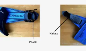 Jakie płetwy do nauki pływania pomogą Ci uniknąć frustracji?