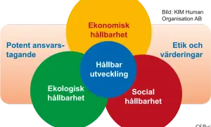 Diagram som visar att hållbar utveckling bygger på ekonomisk, ekologisk och social hållbarhet, samt etik och värderingar.