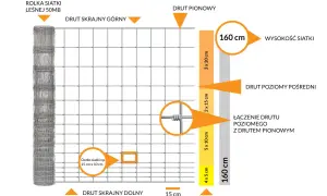 Schemat ogrodzenia z siatki leśnej, pokazujący jej budowę, wymiary i rozkład oczek. Siatka ma wysokość 160 cm.