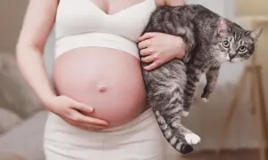 Ciężarna kobieta trzyma kota. Należy pamiętać o profilaktyce toksoplazmozy w ciąży.