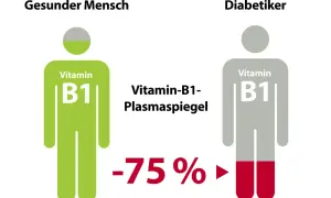 Vergleich Vitamin B1-Plasmaspiegel: Gesunder Mensch (grün) vs. Diabetiker (grau). Diabetiker zeigen -75% weniger Vitamin B1, was auf einen Mangel hindeuten kann.