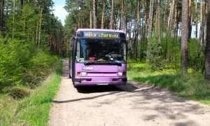 Jak oznakować holowane auto? Uniknij mandatu i jedź bezpiecznie!