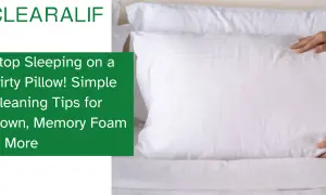 Tired of that smelly pillow? Learn how to clean down, memory foam, and more to refresh your sleep.