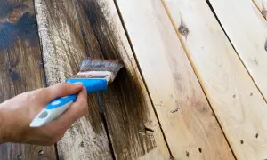 Aplicando tinte oscuro a madera sin tratar con una brocha. El proceso de pintar madera sin tratar transforma su aspecto.