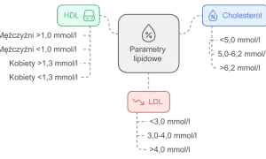 Schemat parametrów lipidowych: HDL, Cholesterol i LDL. Podano normy dla mężczyzn i kobiet. LDL poniżej 3,0 mmol/l jest optymalny.