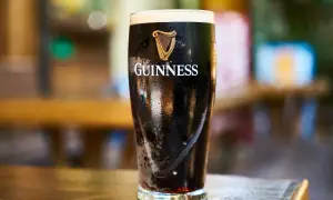 Szklanka z ciemnym piwem słodowym Guinness, z charakterystycznym logo harfy i napisem. Piana tworzy grubą warstwę.