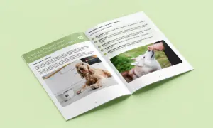 A guide on what vegetables dogs can eat, featuring a Cocker Spaniel and a Husky being fed treats.