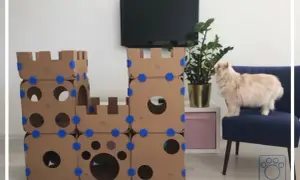 Domek dla kota z kartonu: Stwórz azyl, który pokocha Twój kot!
