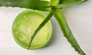 Żel aloesowy w zielonym słoiczku, obok świeżych liści aloesu. Idealny aloes na oparzenia słoneczne.