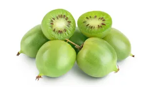 Kiwi, które rośnie na pnączach, w całej okazałości. Jedno z owoców przekrojone, ukazujące soczysty miąższ i drobne pestki.