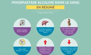 Résumé sur la phosphatase alcaline : valeurs normales, anomalies hépatiques/biliaires/osseuses, valeurs chez la femme enceinte, et causes d'une phosphatase élevée ou basse.