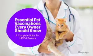 A veterinarian holds a kitten, discussing essential veterinary vaccines for pet parents.