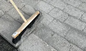 Borste används för att ta bort mossa på stenplattor.