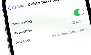 Ustawienia telefonu: "Data Roaming" jest włączone, co oznacza, że roaming włącza się automatycznie. Widoczne opcje 5G.