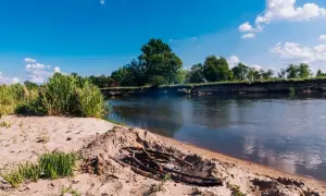 Piaskowa plaża nad Wartą, z ogniskiem i zielonymi zaroślami. W tle drzewa i błękitne niebo.