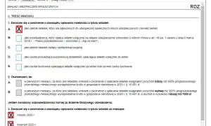 Tarcza 9.0 jaki wniosek do ZUS? Kluczowe informacje i formularze