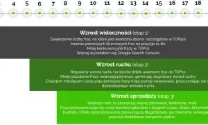 Wykres etapów pozycjonowania stron: wzrost widoczności, ruchu i sprzedaży. Od 1 do 18 miesiąca.