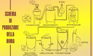 Schema di produzione della birra: macinazione, ammostamento, separazione, bollitura, luppolatura, whirlpooling, fermentazione e imbottigliamento.