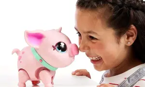 Najlepsze zabawki świnka Piggy dla dzieci i psów – co warto wiedzieć