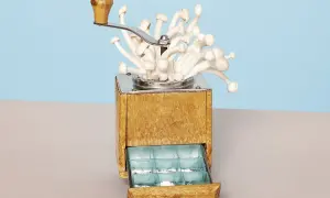 Een oude koffiemolen met paddenstoelen, die de essentie van wat is microdosing illustreert: kleine, gecontroleerde doses voor een subtiel effect.