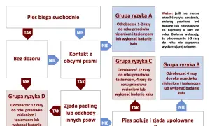 Schemat odrobaczania psów. Określa częstotliwość odrobaczania w zależności od stylu życia psa: swobodne bieganie, kontakt z innymi psami, zjadanie padliny lub polowanie.