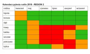 Co pyli w czerwcu? Alergia na trawy i inne pyłki jak sobie radzić