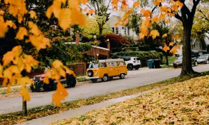 Herbstliche Reiseziele in Europa mit dem Auto: Ein gelber VW-Bus und ein Jeep parken auf einer Straße, gesäumt von bunten Herbstblättern.