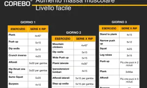 Programma di allenamento a casa per aumentare la massa muscolare, livello facile. Giorni 1, 2 e 3 con esercizi e serie.