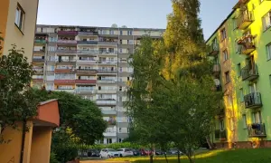 Chcesz dołączyć do spółdzielni? Jak zostać członkiem i co zyskasz