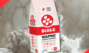 Białe wapno hydratyzowane w worku, otoczone chmurą białego pyłu. Idealne do prac budowlanych.
