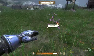 W grze Kingdom Come: Deliverance, zbieranie ostów to podstawa poradników do gier. Postać w zbroi zbliża się do fioletowych kwiatów.