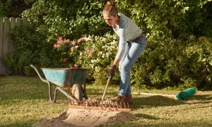 Frau verteilt mit Harke Sand auf dem Rasen. Eine Schubkarre und ein Besen liegen daneben.