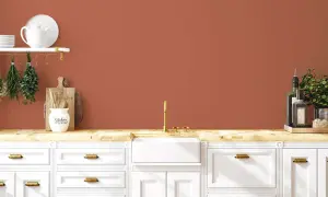 Warme Küche mit Wandfarbe in Terracotta-Farbpalette. Weiße Schränke, Holzoberfläche, Spüle und goldene Armatur.