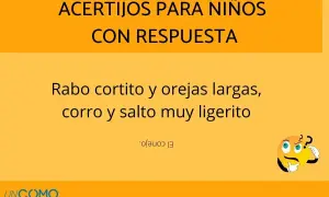 Acertijos para niños de 7 años: "Rabo cortito y orejas largas, corro y salto muy ligerito". ¿Quién soy? El conejo.