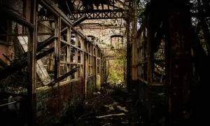 Intérieur délabré d'une usine abandonnée, vestige d'un **urbex Bourges**. Végétation envahissante, poutres rouillées et murs de briques en ruine.