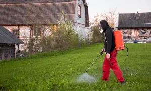 Osoba w masce i czerwonych spodniach opryskuje trawnik z plecakowego opryskiwacza.