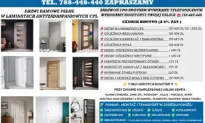 Nowe drzwi z montażem na stare futryny. Odkryj naszą ofertę na drzwi i ościeżnice.