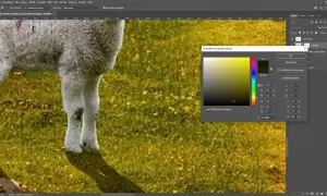 Realistyczne cienie w Photoshopie: Sekrety, techniki, unikaj błędów