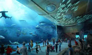 Gdynia atrakcje oceanarium - odkryj fascynujące morskie ekosystemy